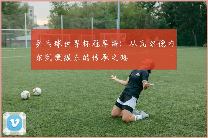乒乓球世界杯冠军谱：从瓦尔德内尔到樊振东的传承之路