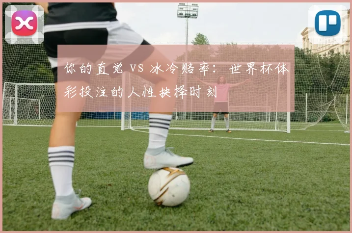 你的直觉 vs 冰冷赔率：世界杯体彩投注的人性抉择时刻