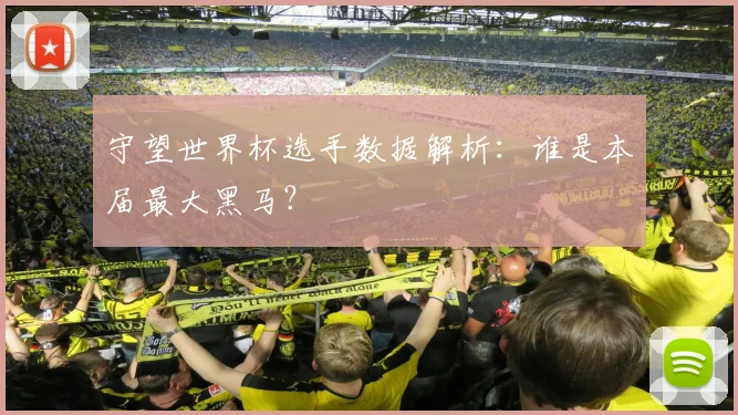 守望世界杯选手数据解析：谁是本届最大黑马？