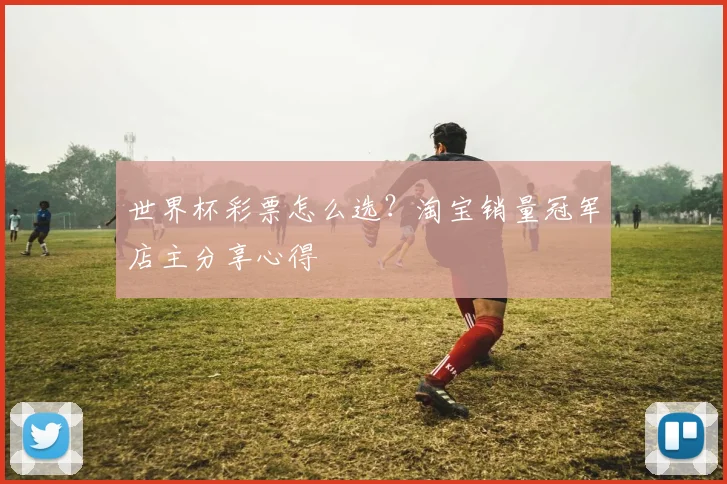 世界杯彩票怎么选？淘宝销量冠军店主分享心得